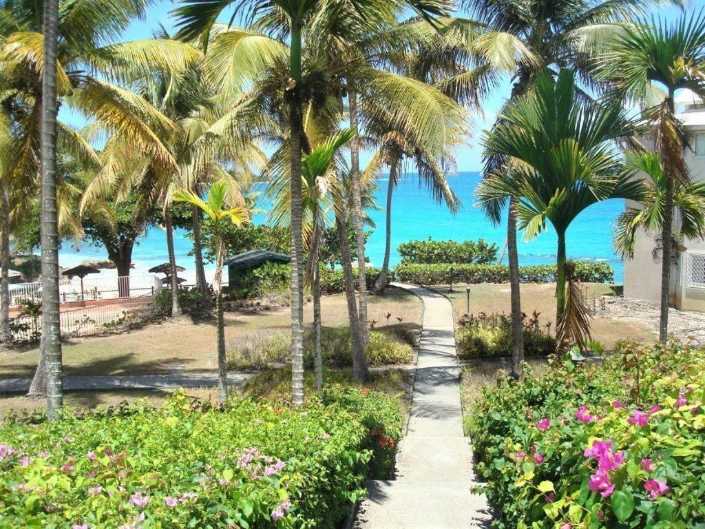 Ilet Bleu Studio Cosy Rdc Vue Mer Et Jardin - Acces Direct Plage Le Gosier  Exterior foto
